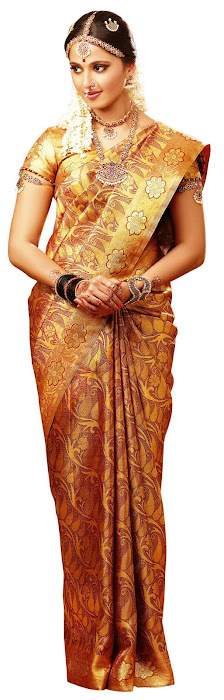 anuska in chennai silks ad actress pics